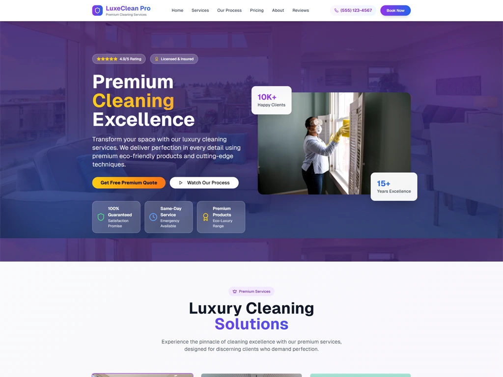 Cleaning website example 2